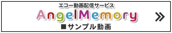 エコー動画配信サービス AngelMemory  サンプル動画